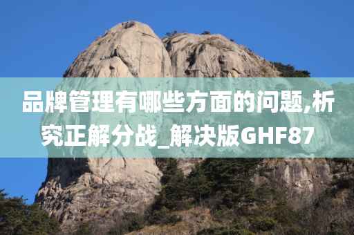 品牌管理有哪些方面的问题,析究正解分战_解决版GHF87