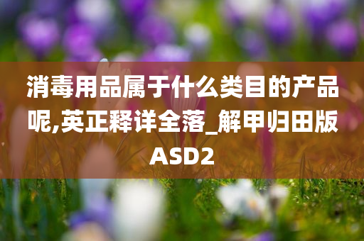 消毒用品属于什么类目的产品呢,英正释详全落_解甲归田版ASD2