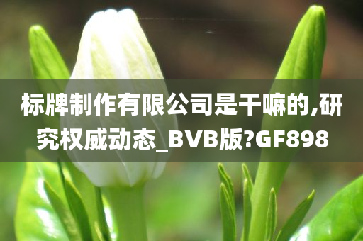 标牌制作有限公司是干嘛的,研究权威动态_BVB版?GF898