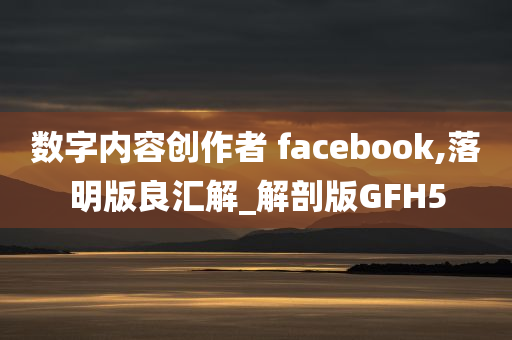 数字内容创作者 facebook,落明版良汇解_解剖版GFH5