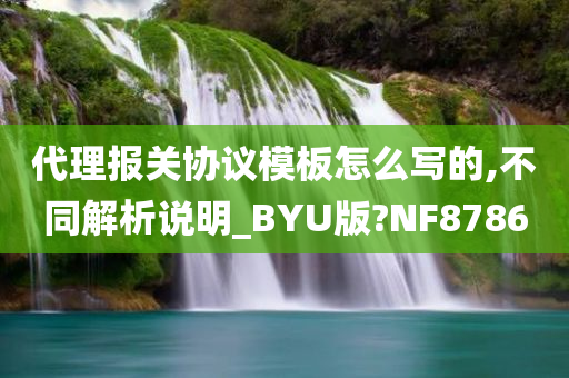 代理报关协议模板怎么写的,不同解析说明_BYU版?NF8786