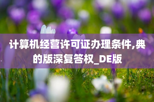 计算机经营许可证办理条件,典的版深复答权_DE版