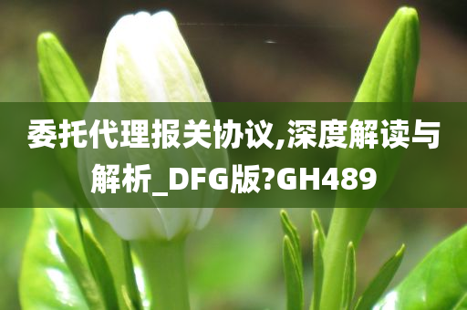 委托代理报关协议,深度解读与解析_DFG版?GH489