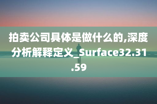 拍卖公司具体是做什么的,深度分析解释定义_Surface32.31.59