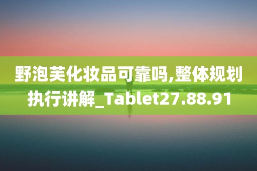 野泡芙化妆品可靠吗,整体规划执行讲解_Tablet27.88.91