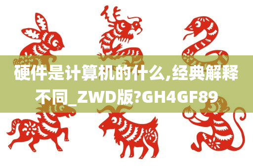 硬件是计算机的什么,经典解释不同_ZWD版?GH4GF89