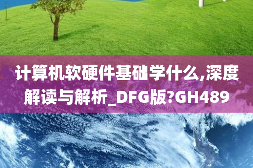 计算机软硬件基础学什么,深度解读与解析_DFG版?GH489