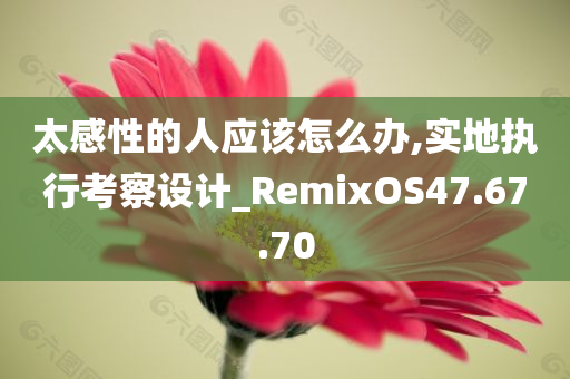 太感性的人应该怎么办,实地执行考察设计_RemixOS47.67.70