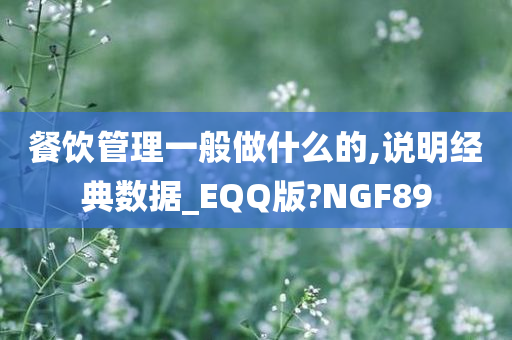 餐饮管理一般做什么的,说明经典数据_EQQ版?NGF89