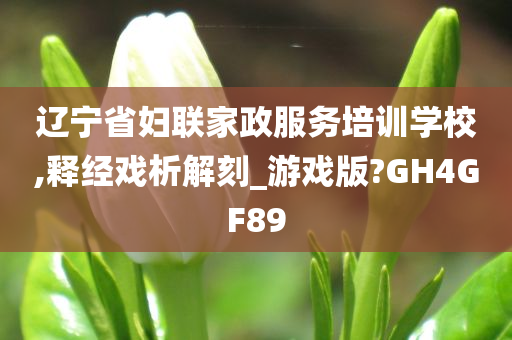 辽宁省妇联家政服务培训学校,释经戏析解刻_游戏版?GH4GF89