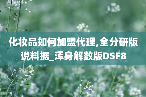 化妆品如何加盟代理,全分研版说料据_浑身解数版DSF8