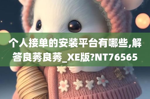 个人接单的安装平台有哪些,解答良莠良莠_XE版?NT76565