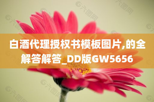 白酒代理授权书模板图片,的全解答解答_DD版GW5656