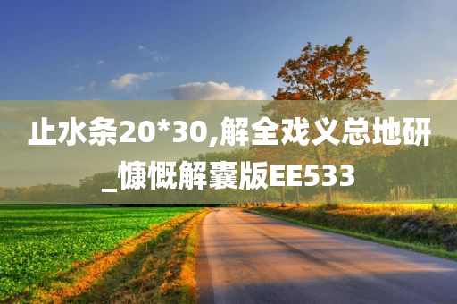 止水条20*30,解全戏义总地研_慷慨解囊版EE533