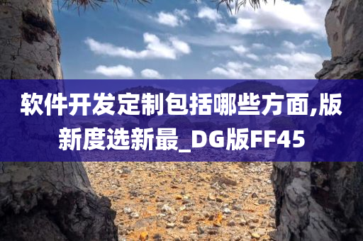 软件开发定制包括哪些方面,版新度选新最_DG版FF45