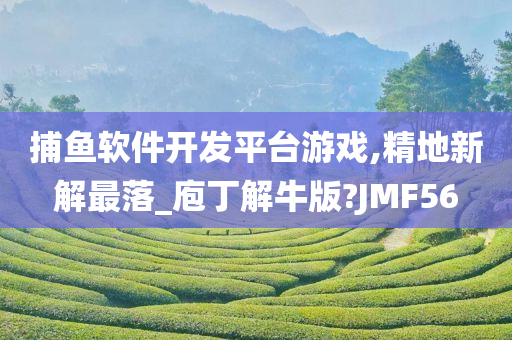 捕鱼软件开发平台游戏,精地新解最落_庖丁解牛版?JMF56