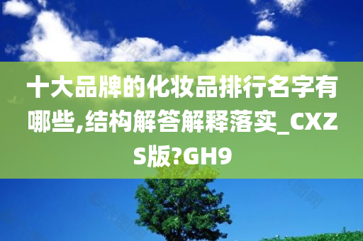 十大品牌的化妆品排行名字有哪些,结构解答解释落实_CXZS版?GH9