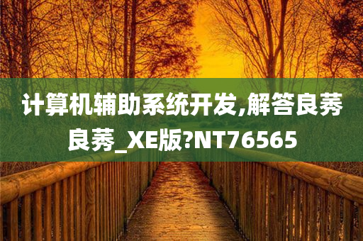 计算机辅助系统开发,解答良莠良莠_XE版?NT76565