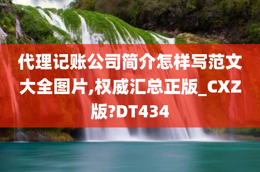 代理记账公司简介怎样写范文大全图片,权威汇总正版_CXZ版?DT434