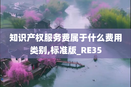 知识产权服务费属于什么费用类别,标准版_RE35