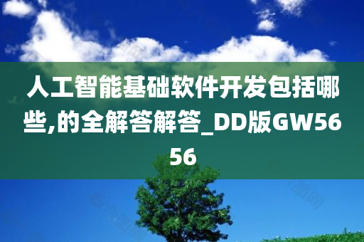 人工智能基础软件开发包括哪些,的全解答解答_DD版GW5656