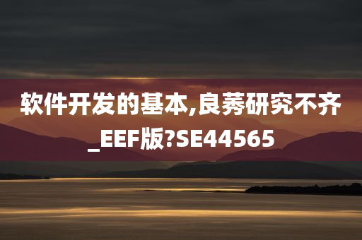 软件开发的基本,良莠研究不齐_EEF版?SE44565