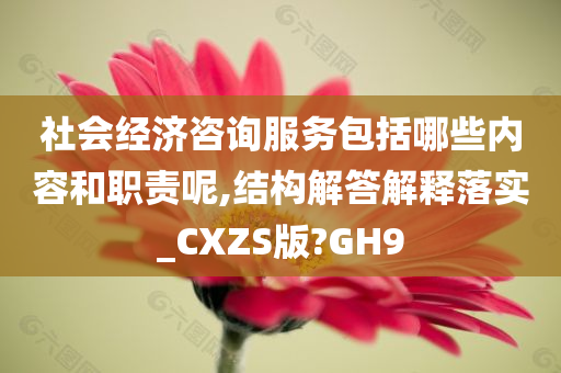 社会经济咨询服务包括哪些内容和职责呢,结构解答解释落实_CXZS版?GH9