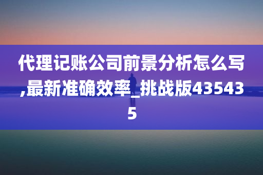 代理记账公司前景分析怎么写,最新准确效率_挑战版435435