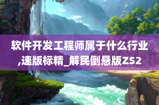 软件开发工程师属于什么行业,速版标精_解民倒悬版ZS2