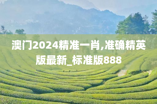 澳门2024精准一肖,准确精英版最新_标准版888