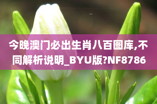 今晚澳门必出生肖八百图库,不同解析说明_BYU版?NF8786