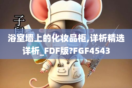 浴室墙上的化妆品柜,详析精选详析_FDF版?FGF4543