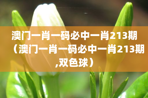 澳门一肖一码必中一肖213期（澳门一肖一码必中一肖213期,双色球）