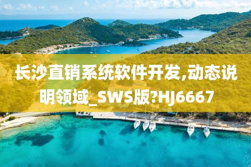 长沙直销系统软件开发,动态说明领域_SWS版?HJ6667