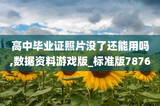 高中毕业证照片没了还能用吗,数据资料游戏版_标准版7876