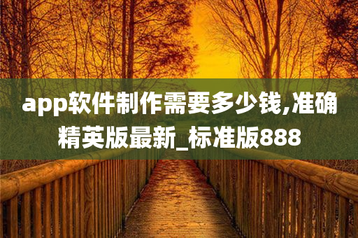 app软件制作需要多少钱,准确精英版最新_标准版888