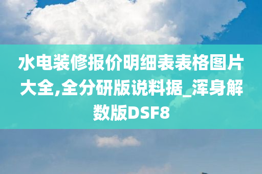 水电装修报价明细表表格图片大全,全分研版说料据_浑身解数版DSF8