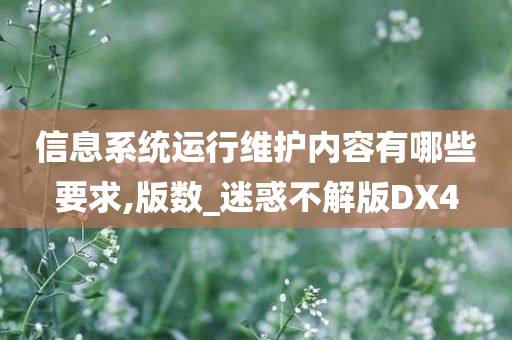 信息系统运行维护内容有哪些要求,版数_迷惑不解版DX4