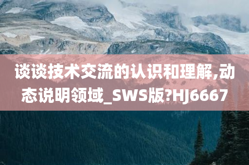 谈谈技术交流的认识和理解,动态说明领域_SWS版?HJ6667