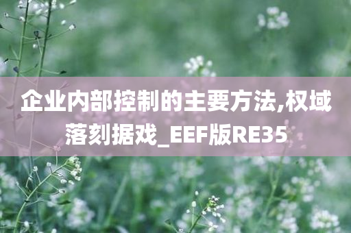 企业内部控制的主要方法,权域落刻据戏_EEF版RE35