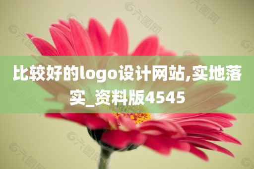 比较好的logo设计网站,实地落实_资料版4545