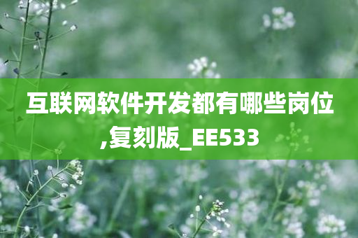 互联网软件开发都有哪些岗位,复刻版_EE533