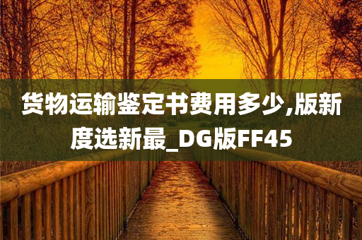 货物运输鉴定书费用多少,版新度选新最_DG版FF45