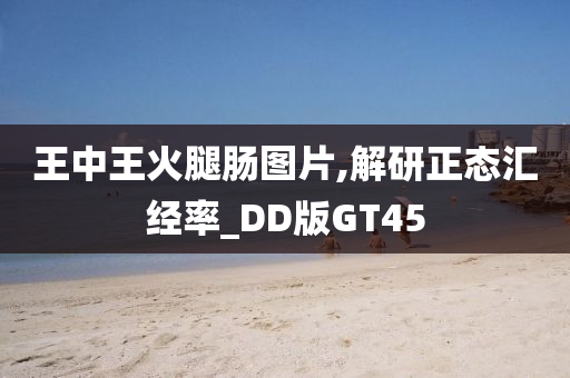 王中王火腿肠图片,解研正态汇经率_DD版GT45