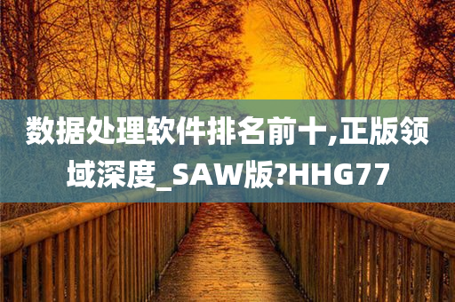 数据处理软件排名前十,正版领域深度_SAW版?HHG77