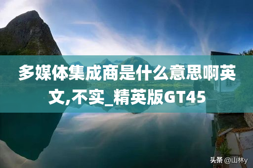 多媒体集成商是什么意思啊英文,不实_精英版GT45