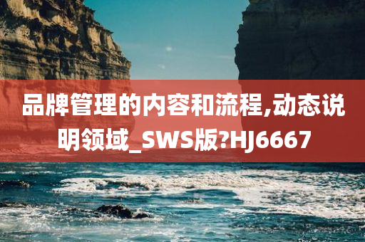 品牌管理的内容和流程,动态说明领域_SWS版?HJ6667