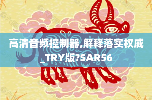 高清音频控制器,解释落实权威_TRY版?SAR56