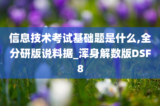 信息技术考试基础题是什么,全分研版说料据_浑身解数版DSF8