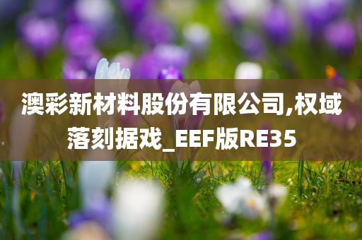 澳彩新材料股份有限公司,权域落刻据戏_EEF版RE35